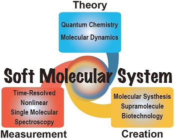 理論と実験の協奏による柔らかな分子系の機能の科学